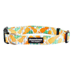 Downtown Pet Supply - Best Cute & Fancy Dog Collar - Lightweight Adjustable Dog Collar with Quick Buckle & D-Ring - Hand Wash Safe - Pineapple - M - Medium Dog Collar