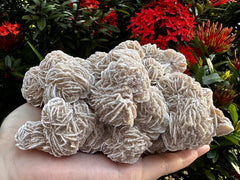 Large Desert Rose Cluster Natural Desert Rose Selenite Stones Desert Gypsum Rose Raw Selenite Rose Crystal Rose Rock Sand Rose (2-3 lbs)