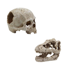 NIUBICRE Aquarium Skull Reptile House Decoration Resin Fish Tank Skull Decoration Fish Tank Landscape Decoration Bearded Dragon Spider Snake Lizard Hideout Cave (Human Skull + Dinosaur Skull)