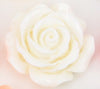 Rose Gold Metal Anal Plug with Flower Design